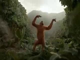 Funny Monkey Dance In Yo Yo Honey Singh Song