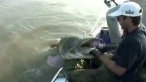 Acemi Balıkçıdan Dev Kedi Balığı Avı