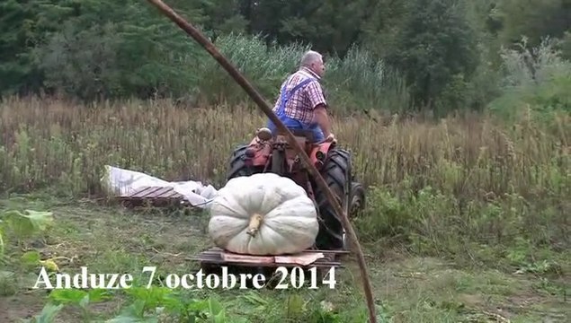 20141007 anduze courge géante