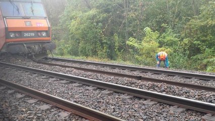 Un train déraille à Bellegarde (Ain)