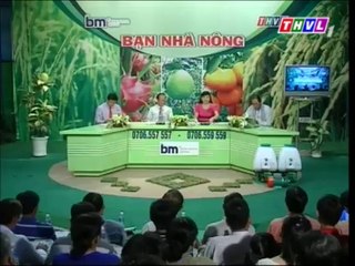 Phát triển vườn cam trên vùng đất phèn (phần 1)