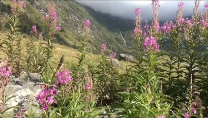 Rando Bionnassay Samedi