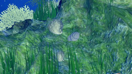 Ocean acidification