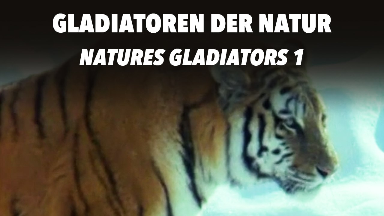 Gladiatoren der Natur - Natures Gladiators 1 (2011) [Dokumentation] | Film (deutsch)