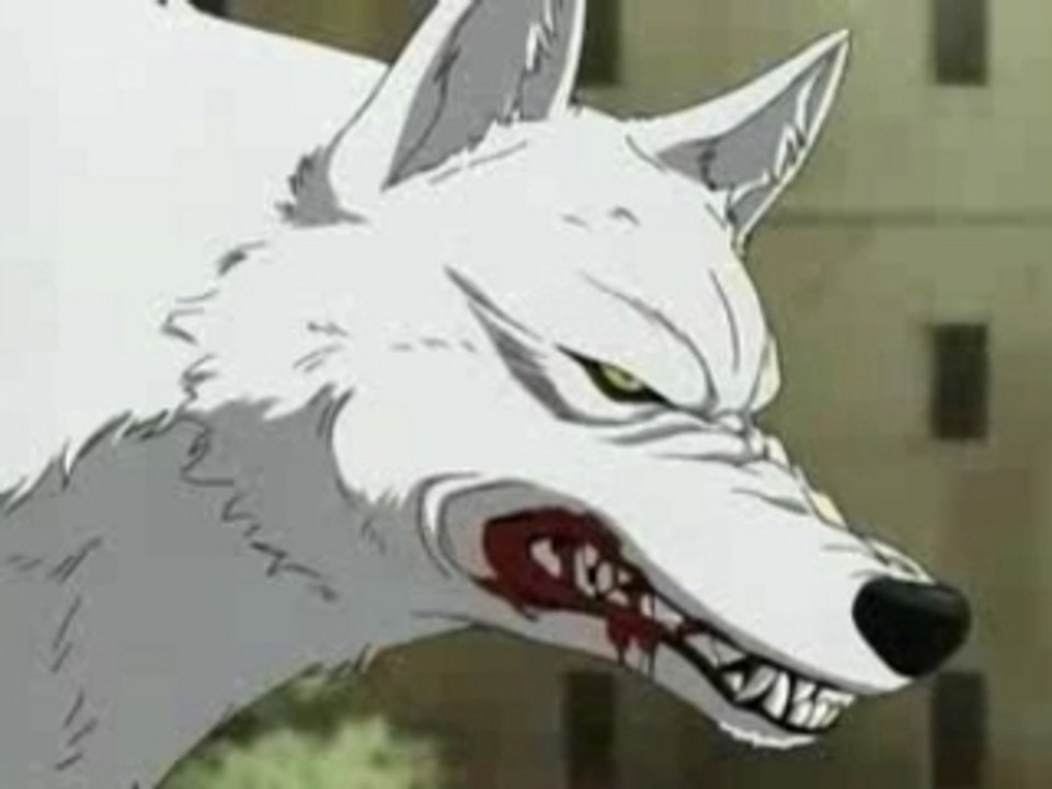 amv Wolfs rain