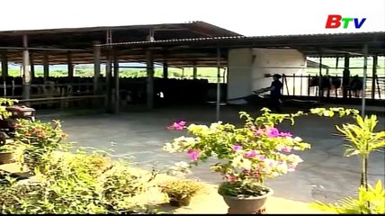 Tìm hiểu vật liệu lợp chuồng trại cho vật nuôi