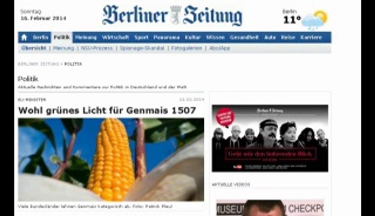 Gen Mais Zulassung gut für die truther Bewegung