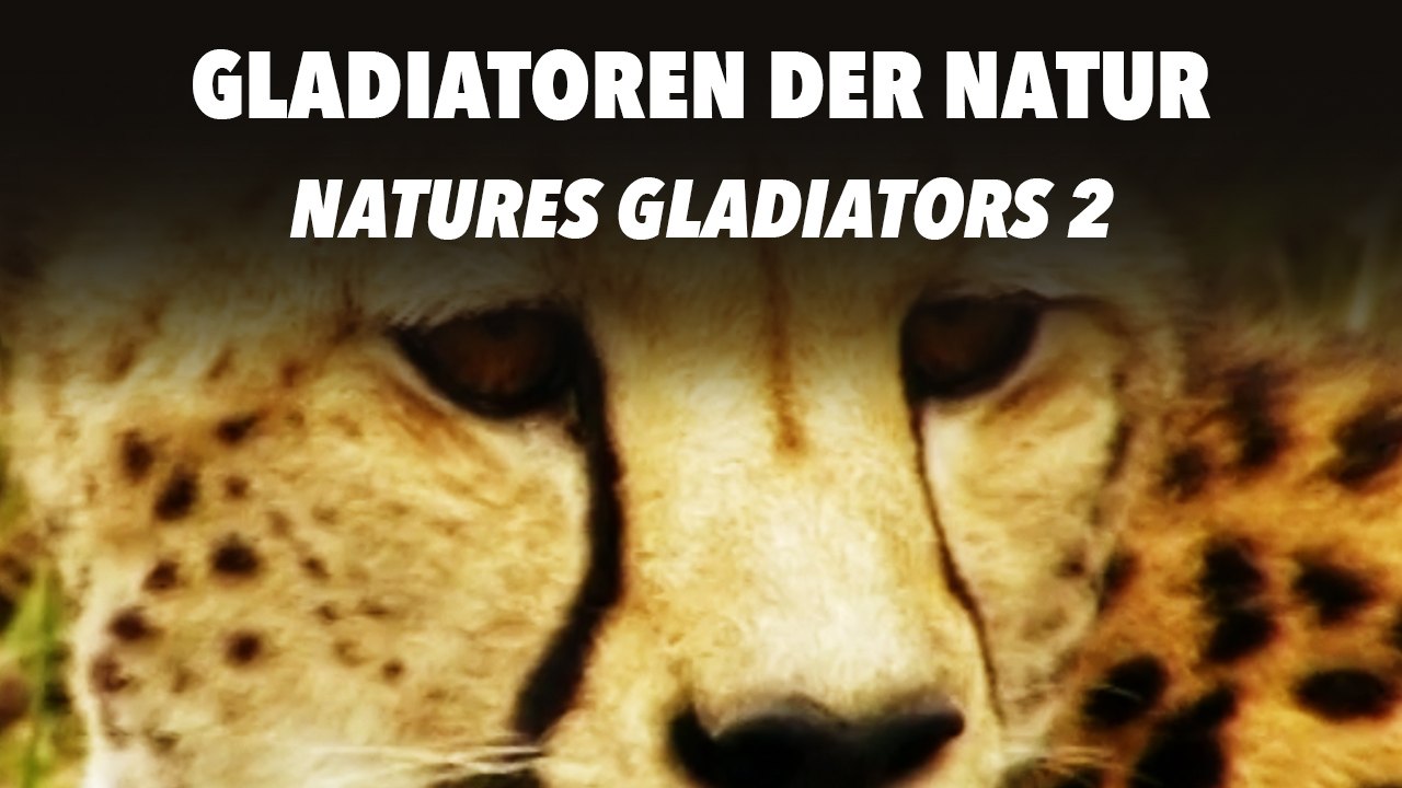 Gladiatoren der Natur - Natures Gladiators 2 (2011) [Dokumentation] | Film (deutsch)