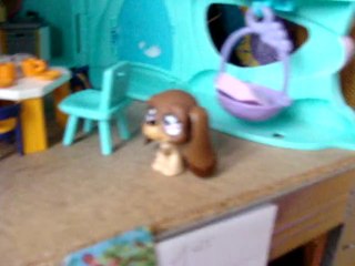 Petshop: une TERRIBLE vie ep1