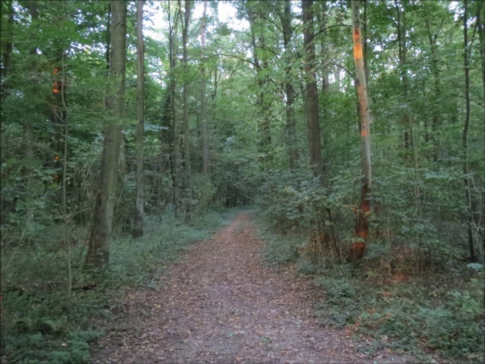 Nachricht für meine Abonennten