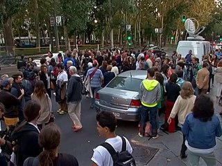 В Испании хотят усыпить собаку заражённой медсестры