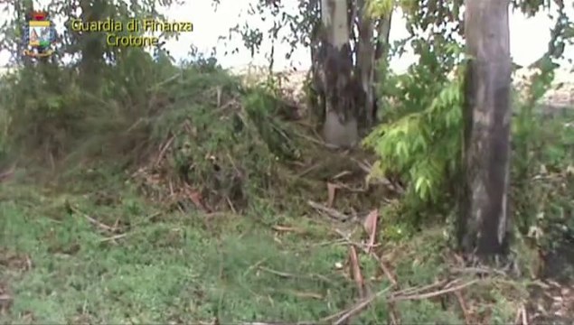 Crotone - Sequestrati dalla guardia di finanza 37 kg di marijuana (08.10.14)