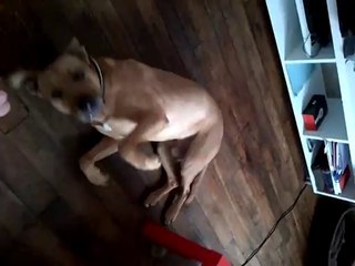 VID-20141008-00024