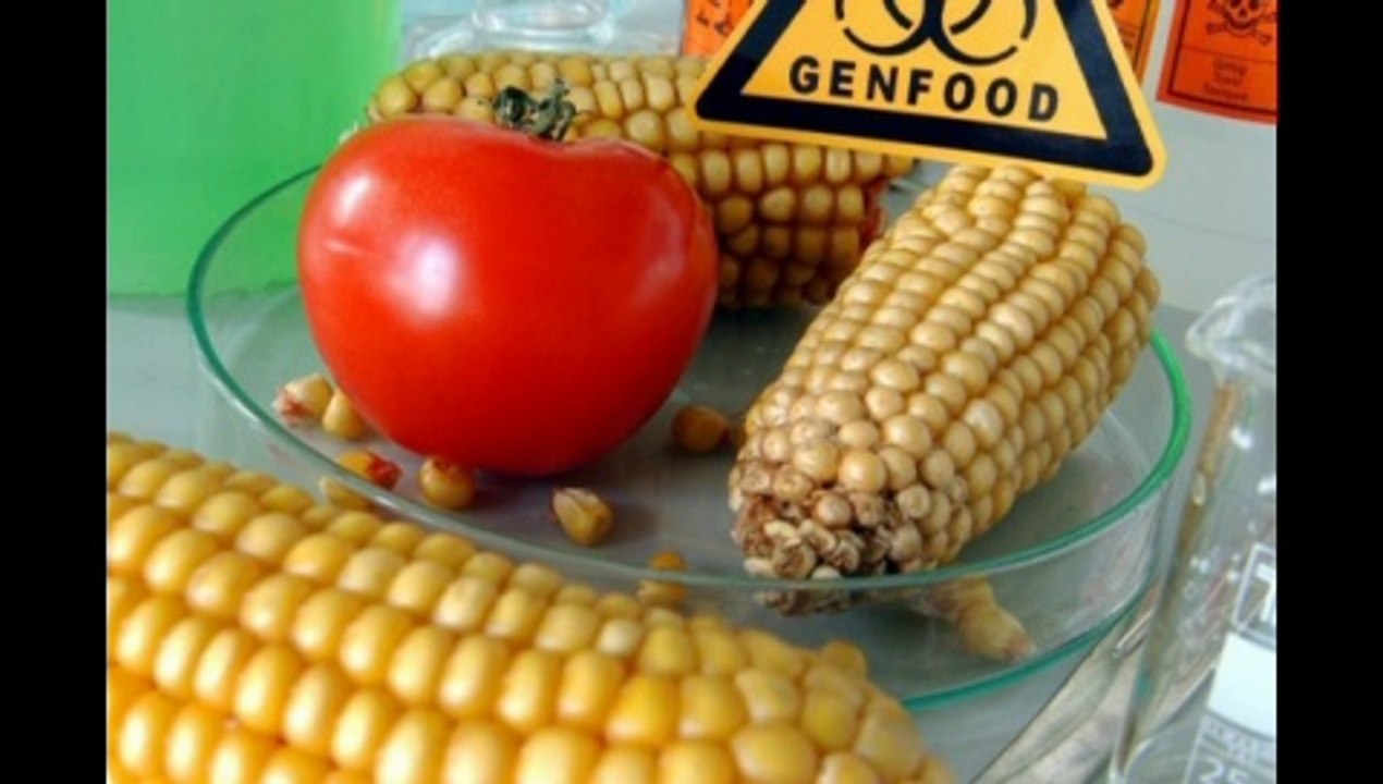 Freimaurer sind schlecht für uns Alle!