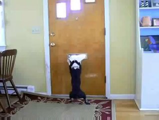 Why Email Was Invented