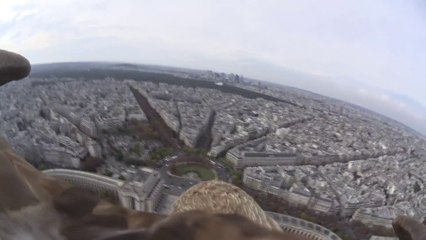 下载视频: Flying eagle point of view - A flight over Paris