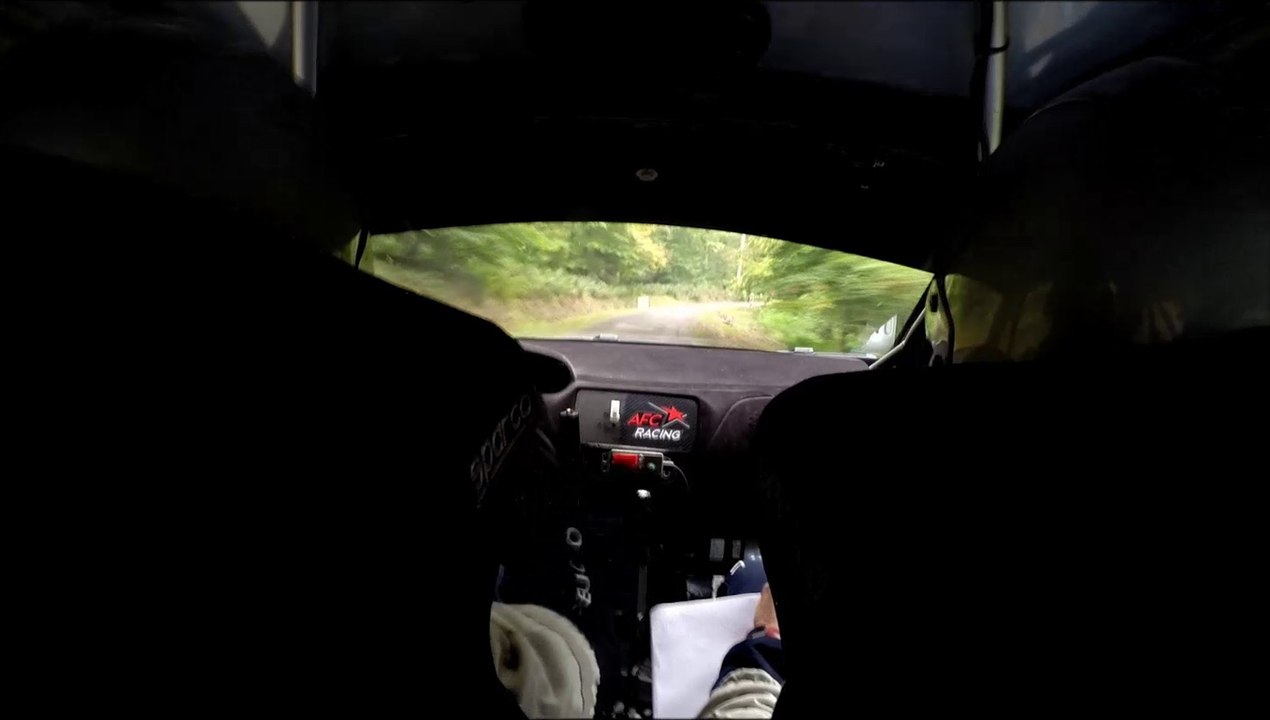 camera embarquée es 17 forêt petite pierre rallye de france 2014 JP MONNIN / Franck GILLIOT 208 R2