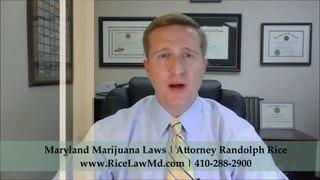 Maryland Marijuana Possession Laws 2014 - Attorney Randolph Rice