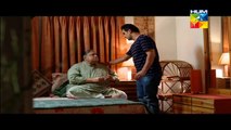 Shabe Zindagi Last Episode HUM TV Drama