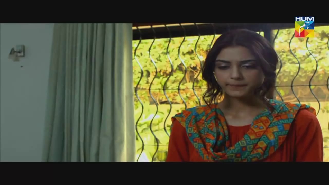 Shanakht Episode 7 HUM TV Drama Full Episode video Dailymotion