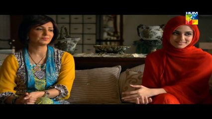 Shanakht Episode 8 HUM TV Drama Full Episode