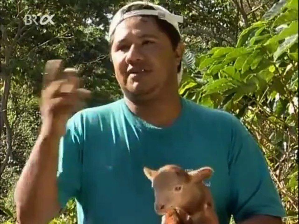 Sozialkunde 10 Vernetzung und Verstrickung