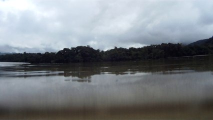 Canoagem  no Rio do Puruba, Ubatuba, SP, Brasil, mares e rios
