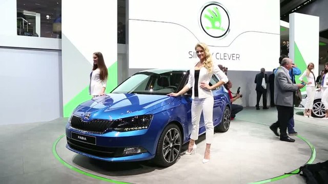 Mondial Auto 2014 : Skoda Fabia