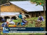 Perú: 90% de productores agrarios no cuentan con un plan de jubilación