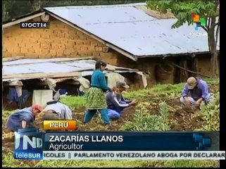 Perú: 90% de productores agrarios no cuentan con un plan de jubilación