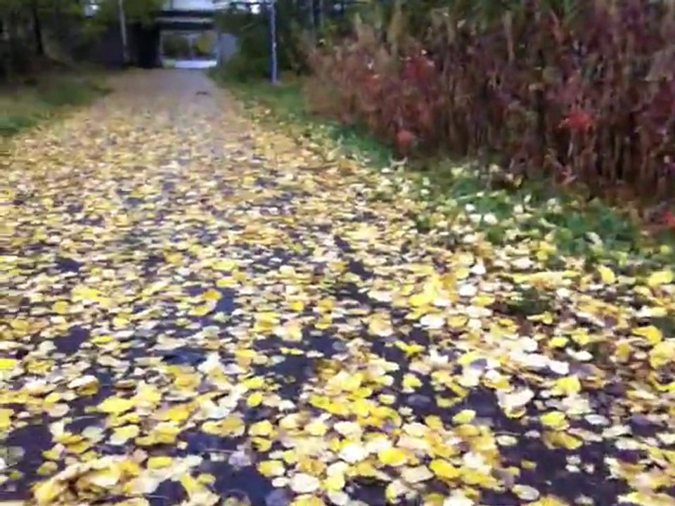 Oct 8 2014 1
