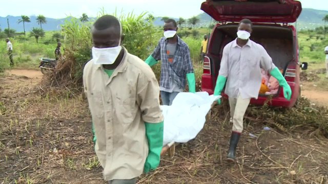 AFP - Le JT, 2e édition du mercredi 8 octobre. Durée: 01:53
