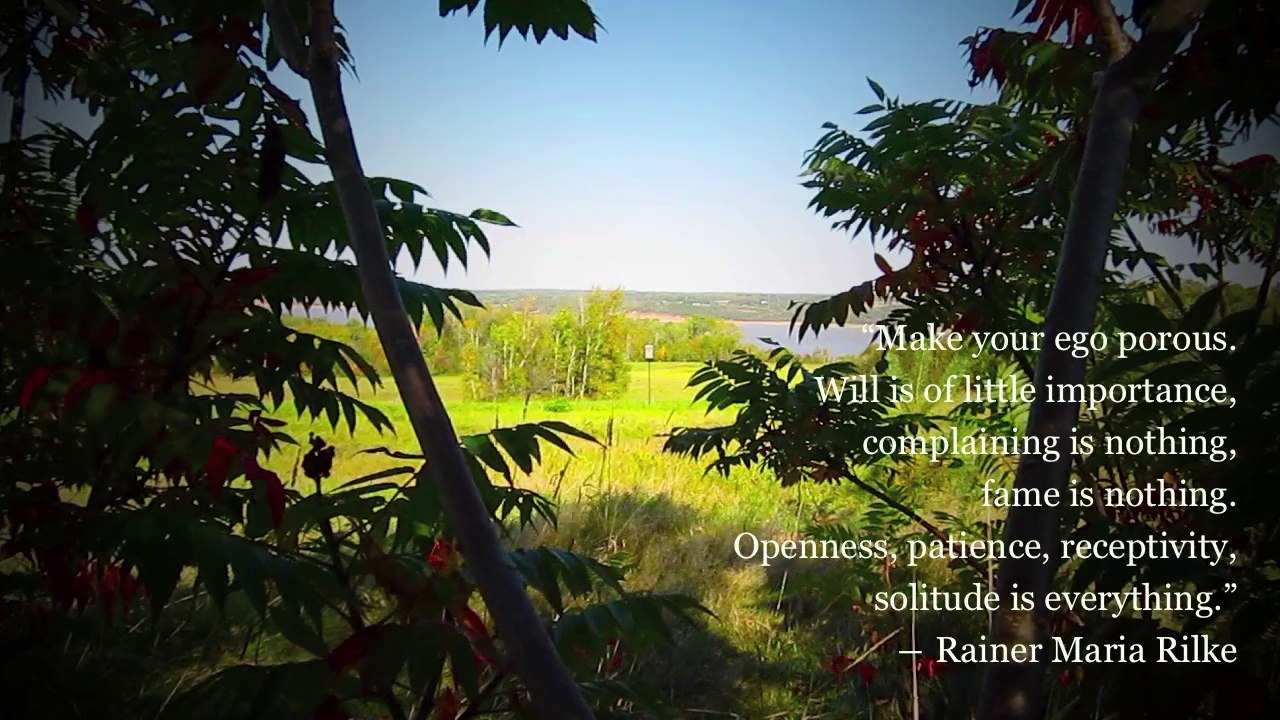 patience by michael hermiston