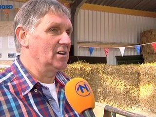 Oudste melkkoe van Nederland staat in Tolbert - RTV Noord