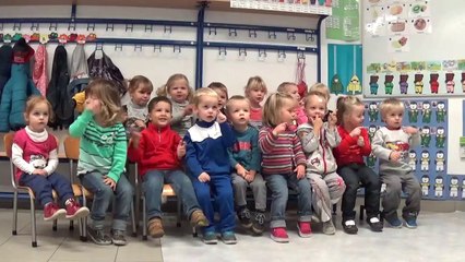 Un petit écureuil roux