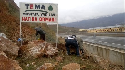 mustafa yarılan hatıra ormanı 2013-02-12-3282