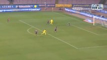 Napoli-Genoa 1-1 serieA 2013-2014 (EFFETTO STADIO)