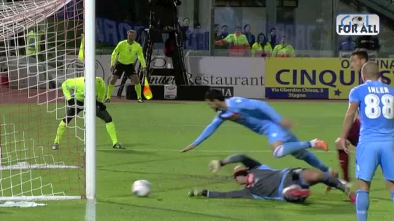 Livorno-Napoli 1-1 SerieA 2013-2014 (EFFETTO STADIO)