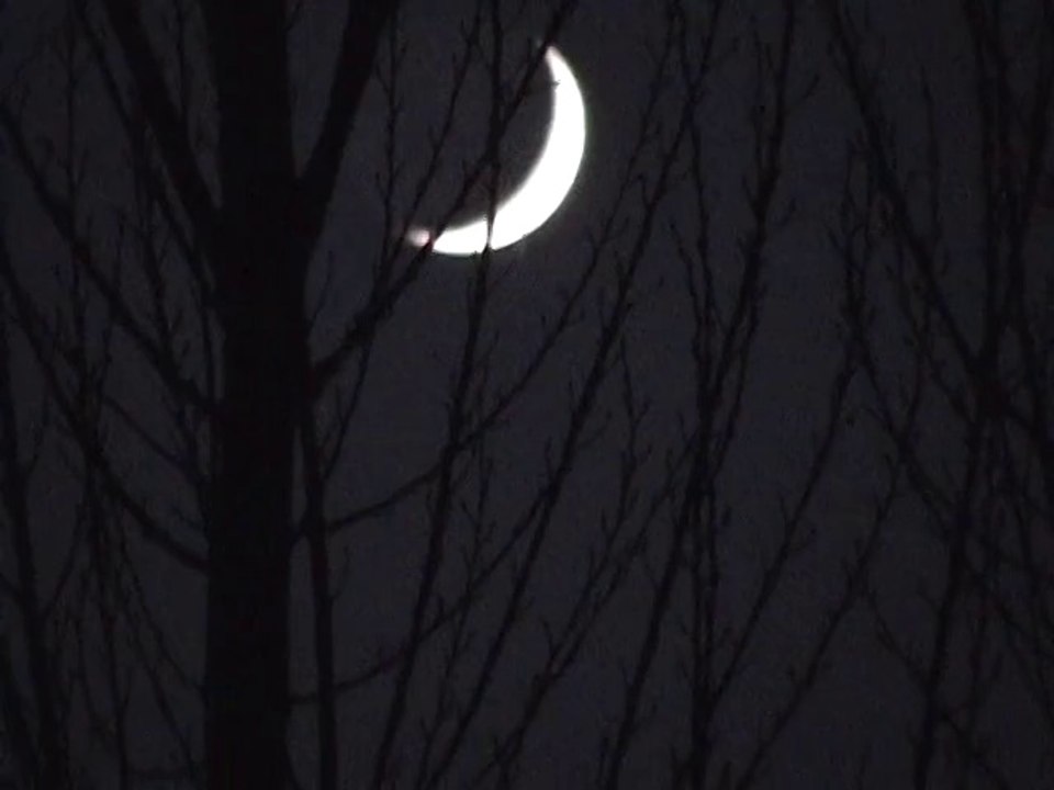 Capsula N°2: Luna