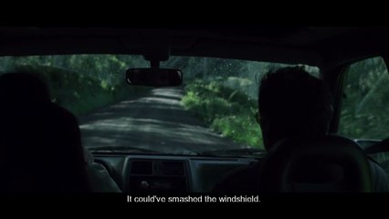 L'Eté des Poissons Volants - Extrait (2) VO