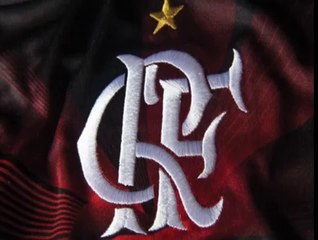 Assobio Para Calopsita Hino Do Flamengo