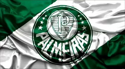 Assobio Para Calopsita Hino Do Palmeiras