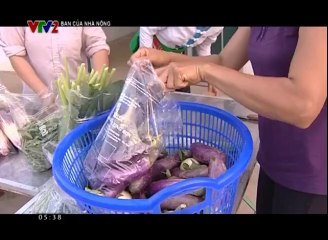 Giải pháp giữ an toàn cho gia súc, gia cầm mùa mưa bão