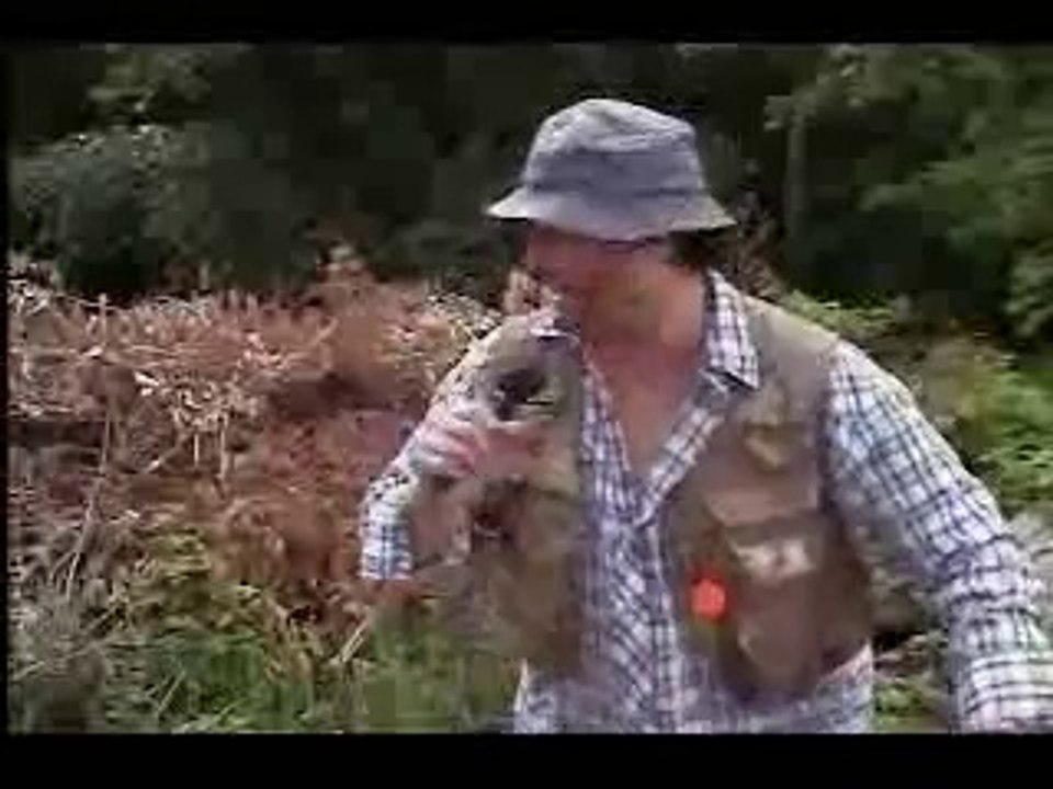 Hilarious News Report Spoof with Uncle Vinnie and Bigfoot at the Indian Cemetery - Halloween Season - Jolean Does it!