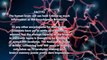 The Human Body 100 Facts Series - Part 1 - 10 Facts About Human Brain
