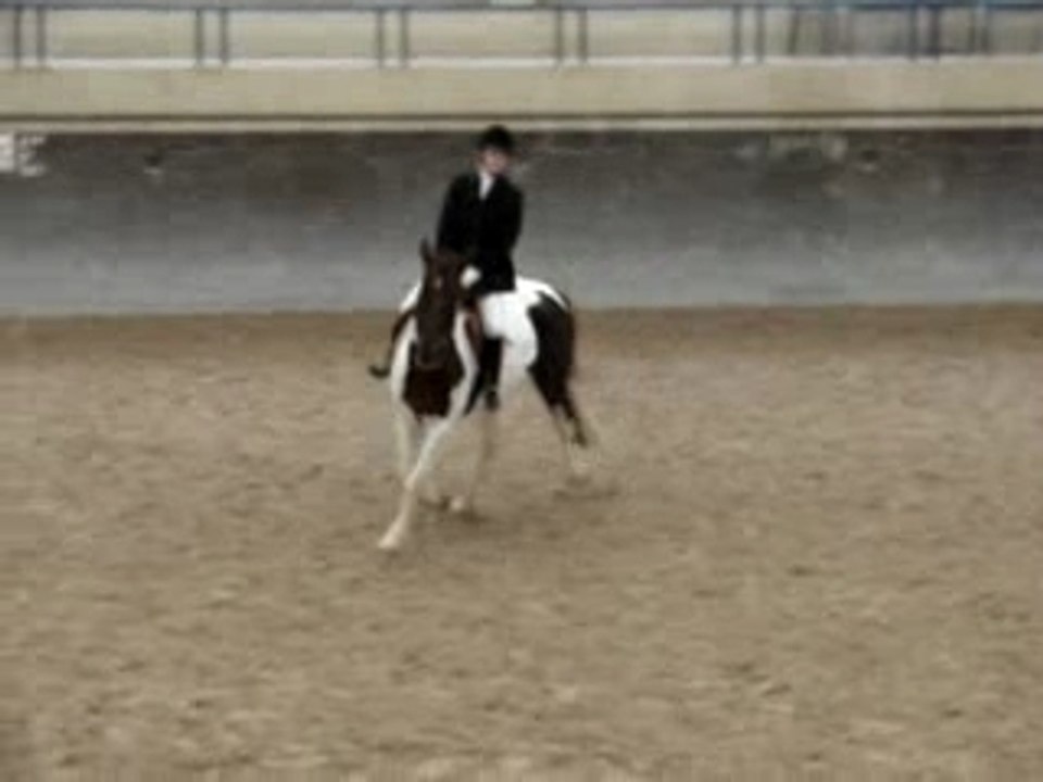 Etrier d'or (DRESSAGE)
