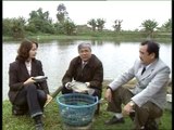 Kỹ thuật nuôi thâm canh cá rô phi theo mô hình GAP