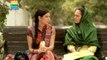 Maat - Episode 8 - (2014 Urdu Drama Maat)