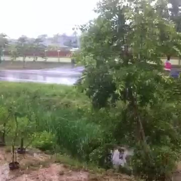 Raining hmmm :)