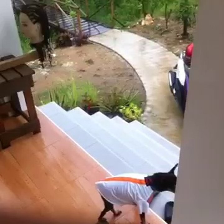 Dog barking but its ok :)